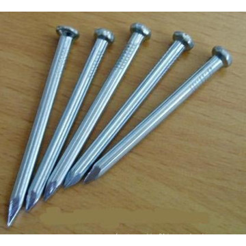 Galvanized Steel Concrete Nail